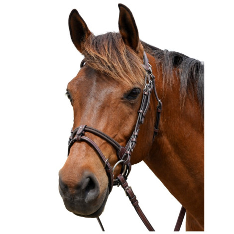 Bridon cuir Calgary FLAGS&CUP • Sud Equi'Passion