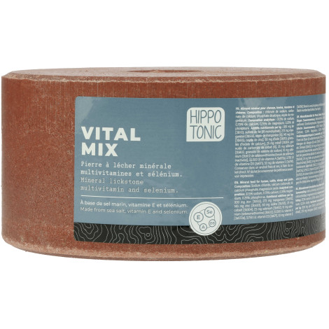 Pierre à lécher Vitalmix HIPPOTONIC • Sud Equi'Passion