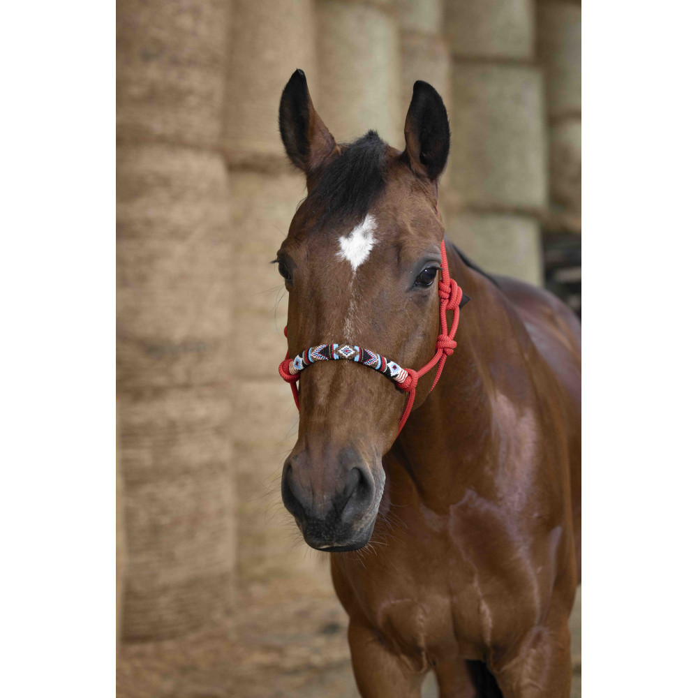 Licol éthologique Pearl NORTON • Sud Equi'Passion