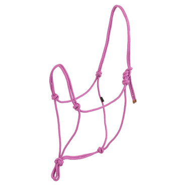 Licol éthologique BR Striking Purple