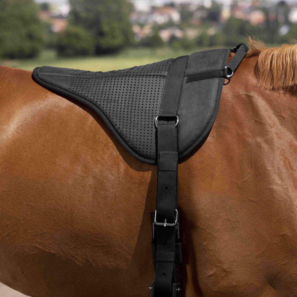 Tapis de monte à cru silicone NORTON • Sud Equi'Passion
