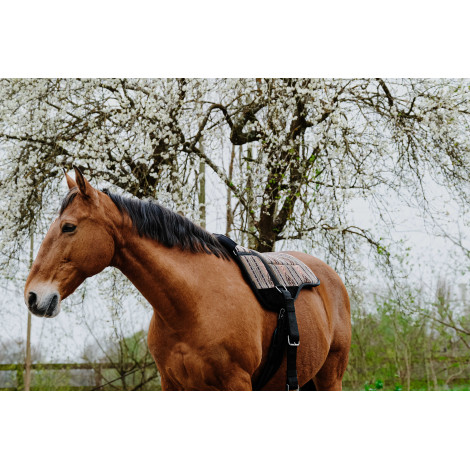 Tapis de monte à cru Kiowa NORTON • Sud Equi'Passion