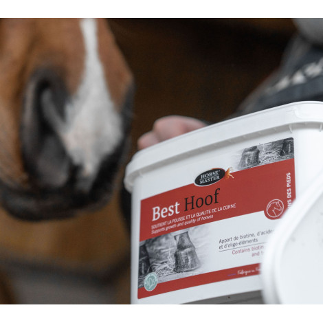 Biotine Best Hoof HORSE MASTER • Sud Equi'Passion