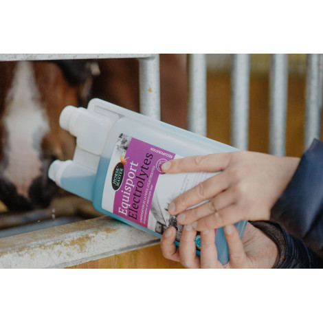Equisport Electrolytes HORSE MASTER • Sud Equi'Passion