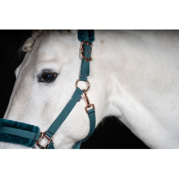 Licol RoseGold Glamour Style HKM • Sud Equi'Passion