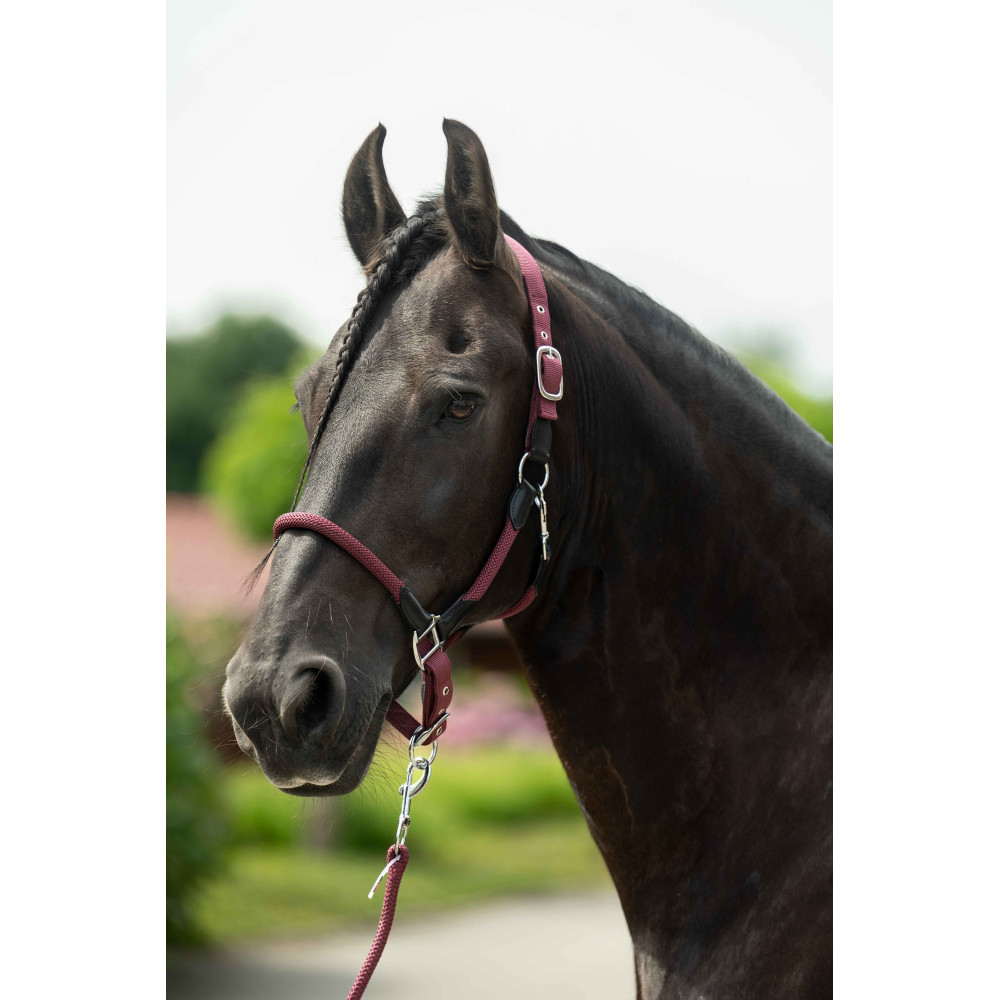 Licol corde Carlotta HKM • Sud Equi'Passion