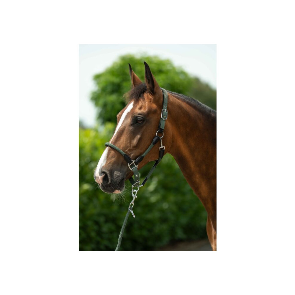 Licol corde Carlotta HKM • Sud Equi'Passion