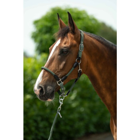 Licol corde Carlotta HKM • Sud Equi'Passion