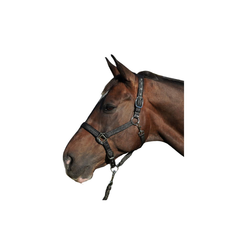Set Licol et Longe Gorla FLAGS&CUP • Sud Equi'Passion
