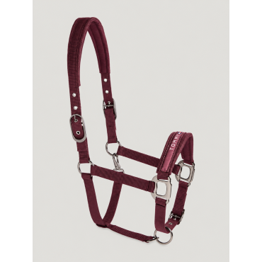 Set Licol et Longe Yale Shine TOMMY HILFIGER • Sud Equi'Passion