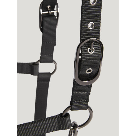Set Licol et Longe Yale Shine TOMMY HILFIGER • Sud Equi'Passion