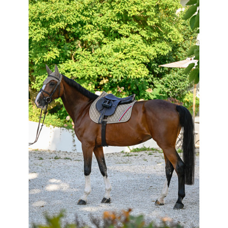 Tapis de selle mixte Stanford Jumping TOMMY HILFIGER • Sud Equi'Passion