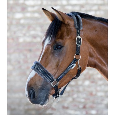 Licol Elegant doublé mouton synthétique WALDHAUSEN • Sud Equi'Passion