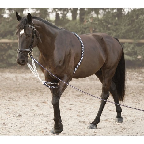 CANTER - Enrênement Soft Rope • Sud Equi'Passion